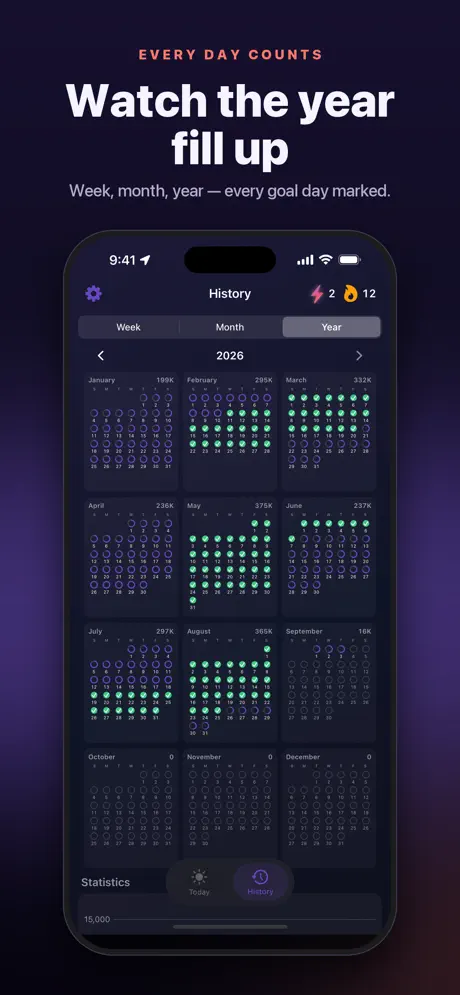 A year of steps